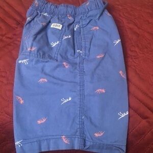Blue boy shorts